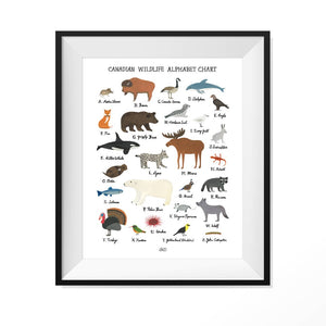 Canadian Wildlife Alphabet Chart Print