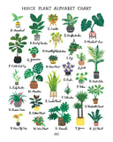 House Plants Alphabet Chart Print