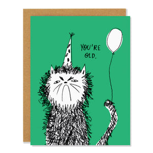 You're Old Snitty Kitty Birthday Card